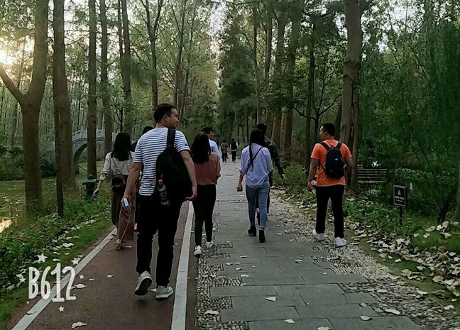 合肥分公司濱湖國家森林公園徒步旅行